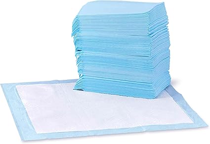 Basics Dog and Puppy Pee Pads, 5-Layer Leak-Proof Super Absorbent